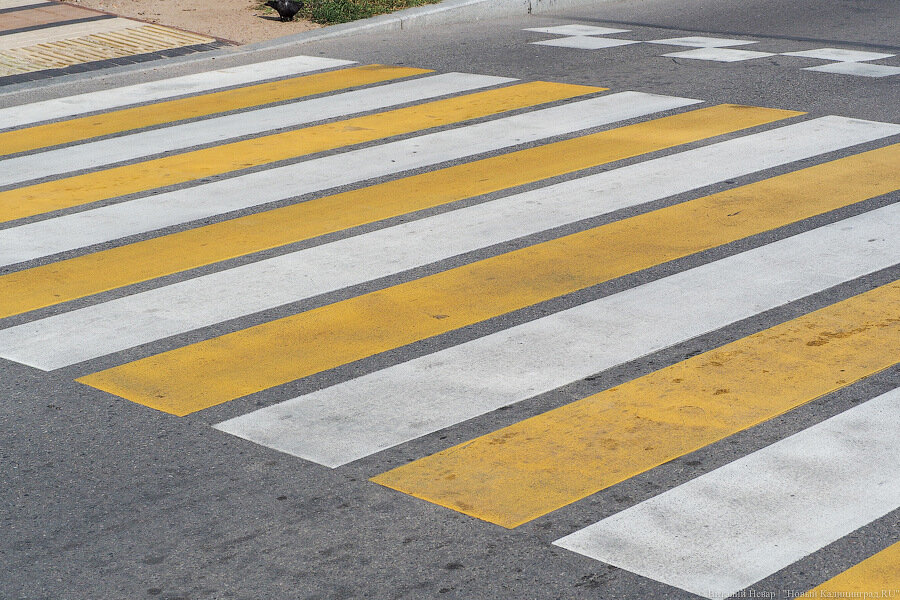 В Калининграде объявлен конкурс на уход за «техсредствами организации дорожного движения» за 500 млн