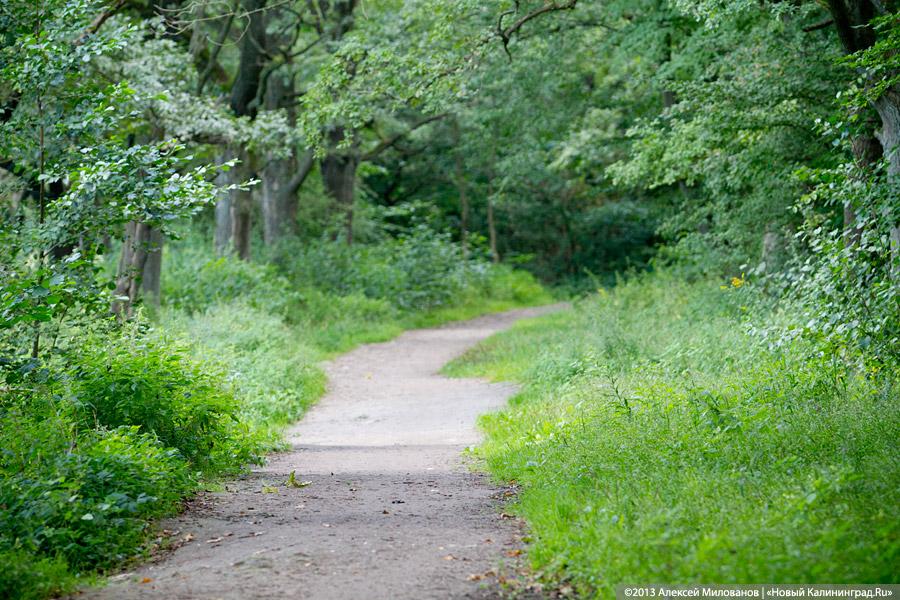 В ожидании чуда: судьба Макс-Ашманн-парка