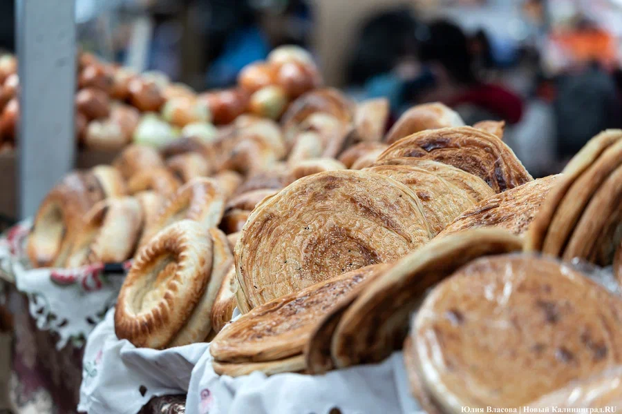 В Калининградской области запретили работу иностранцев по патентам в 18 сферах (список)