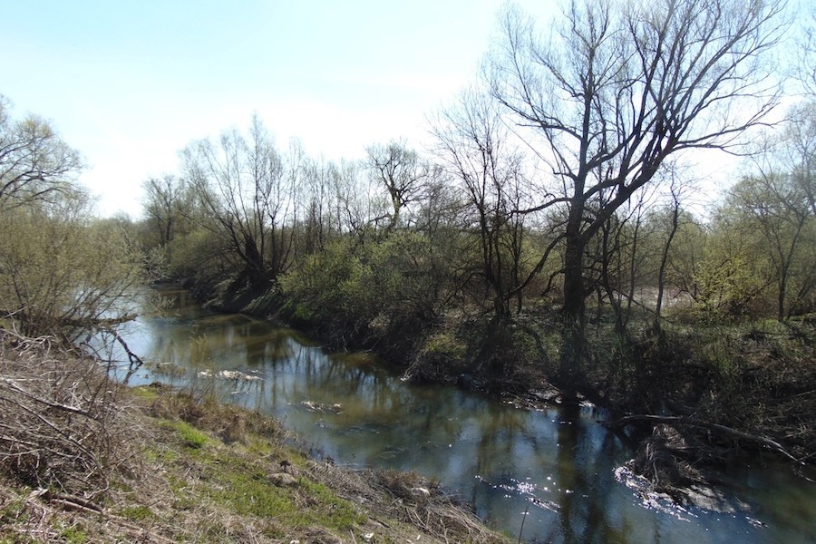 В этом году хотят очистить 17 км Инструча