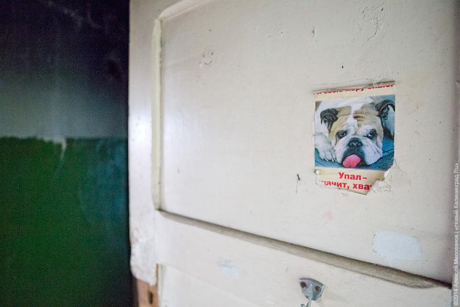 Судьба одного дома: заброшенное общежитие на Гвардейском проспекте