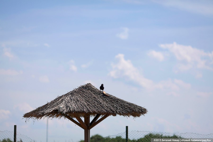 АТОР увидела рост летних цен в сочинских отелях на 15%