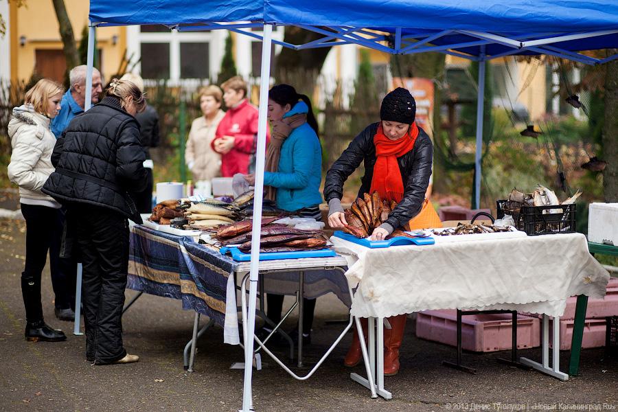 Вершки и корешки: как в Полесске отметили День картошки