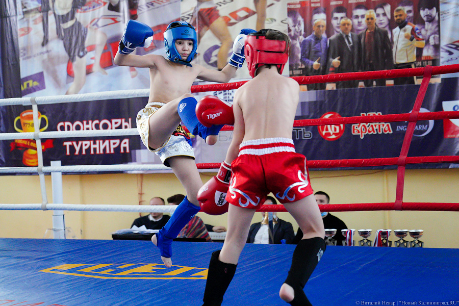 «Ударный» день: в Калининграде прошел чемпионат области по кикбоксингу