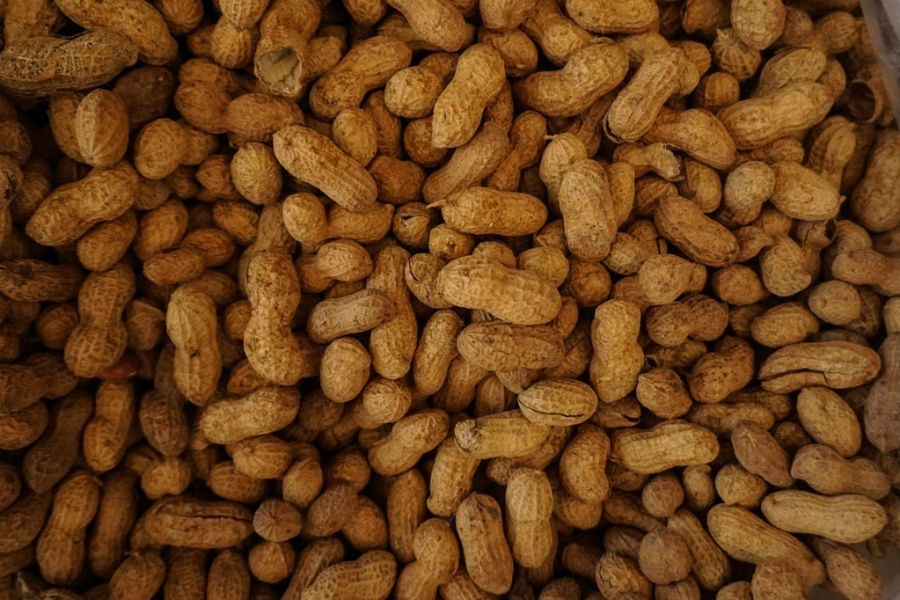 В Россию разрешили ввозить арахис из США, запрет действовал 4 года