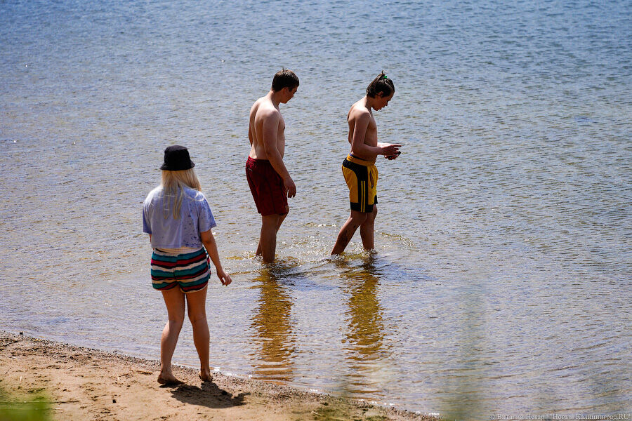 До +24°С: калининградцам обещают новую температурную аномалию