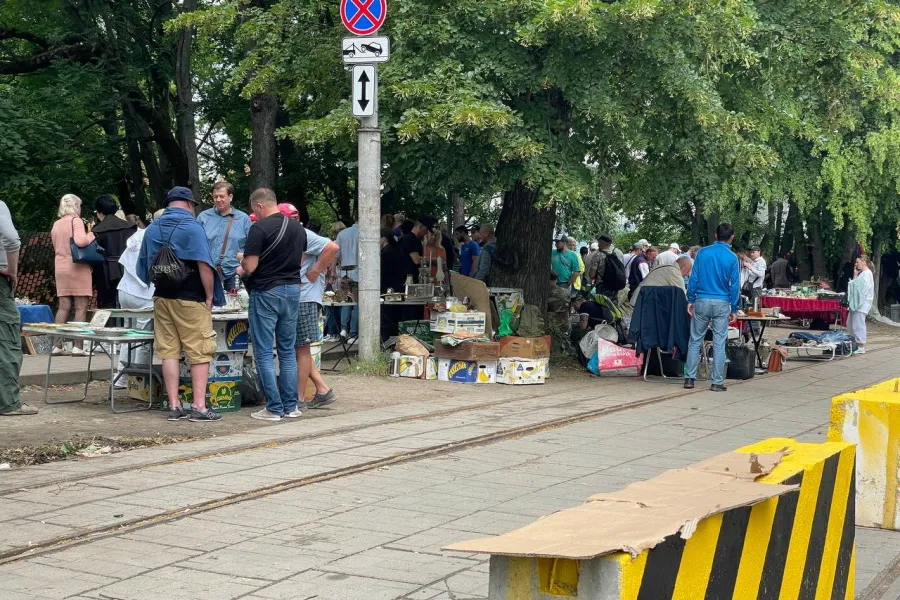 Дятлова: блоки на Пролетарской — это подготовка к реконструкции Каштанового парка