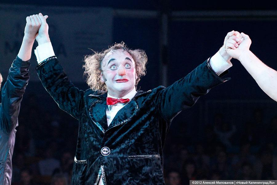 «Цирк в подарок»: фоторепортаж c премьеры цирковой программы