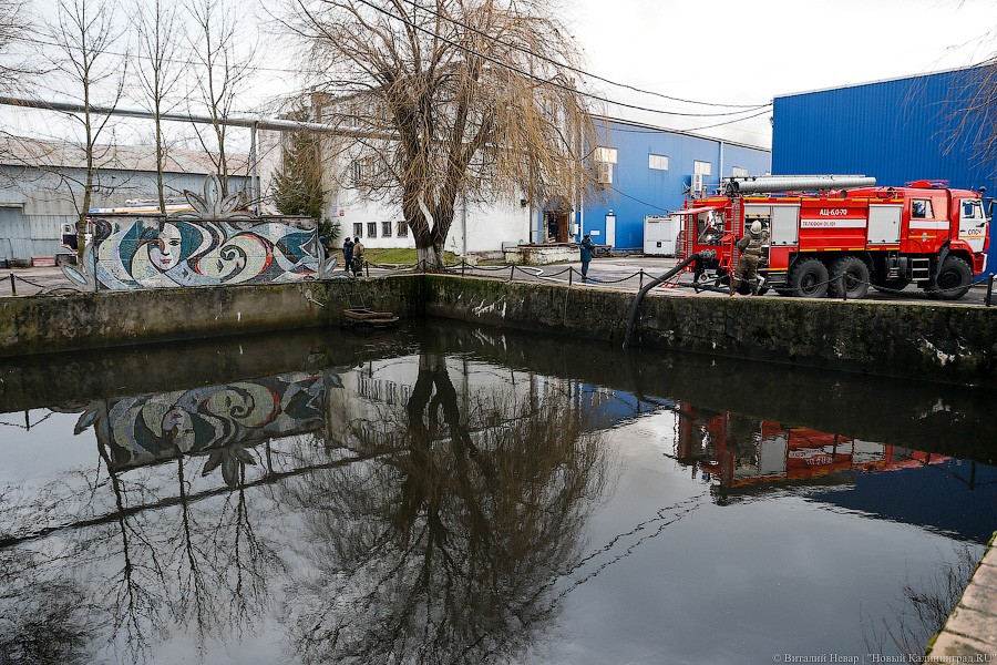 Огненное утро: как калининградские пожарные спасали винный склад