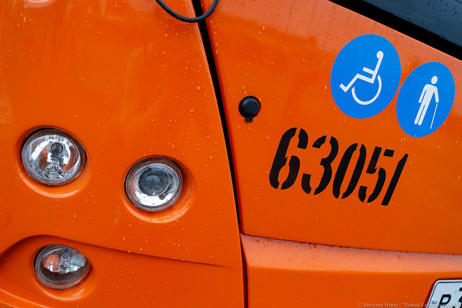 Оранжевое счастье: Калининграду передали 100 новых автобусов МАЗ (фото)