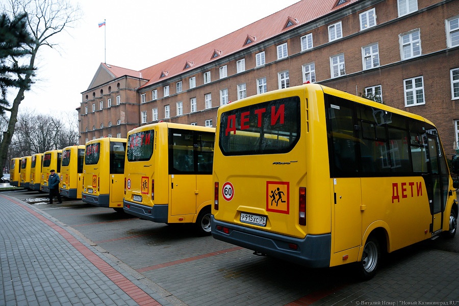 Жёлтые газели: муниципалитетам вручили ключи от новых школьных автобусов