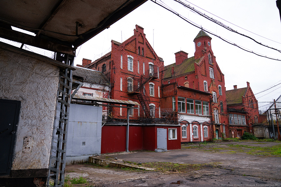 Фото: Виталий Невар / Новый Калининград