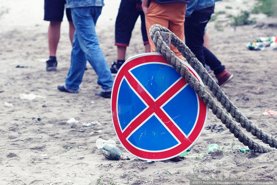 "Насекомая страна": фоторепортаж "Афиши Нового Калининграда.Ru"