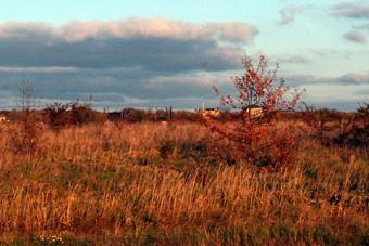Администрация Гурьевска незаконно сдала в аренду землю под строительство