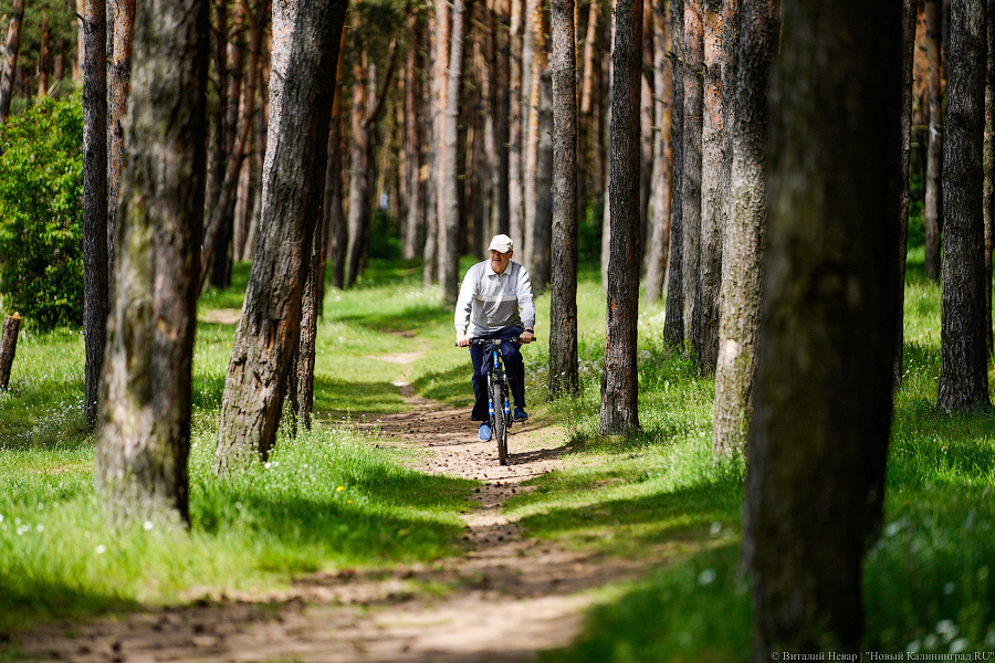 «Не врите мне»: фекалии в воде не портят отдых калининградским купальщикам (фото)
