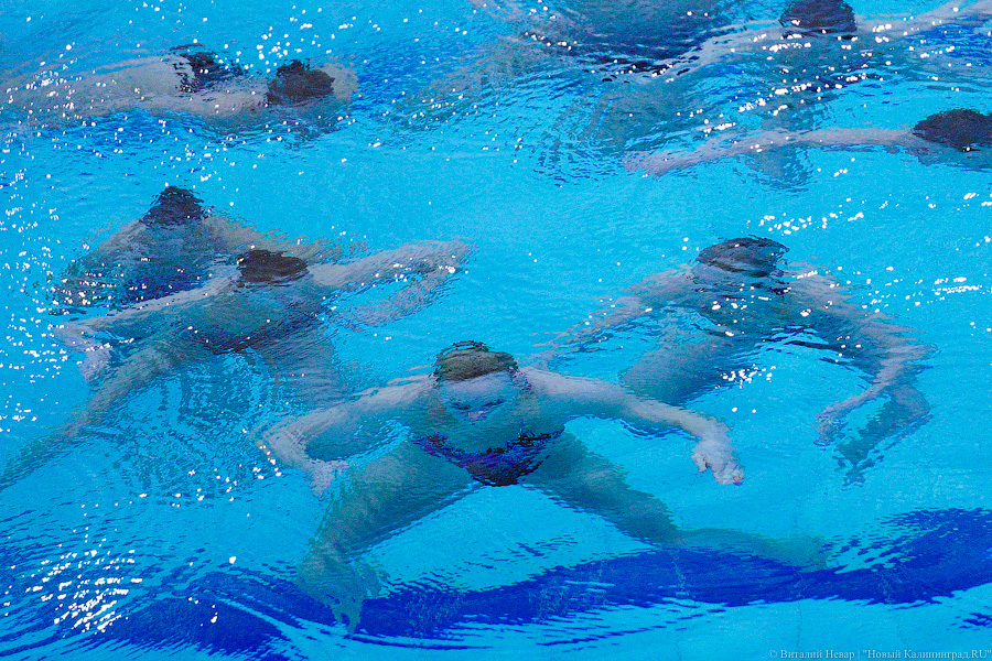 В Калининграде проходит Кубок России по синхронному плаванию. Вот как это выглядит (фото)