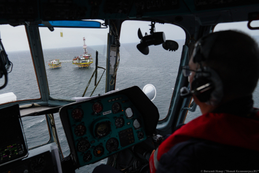 Прилетит вдруг волшебник: как голосовали на платформе «Д-6»