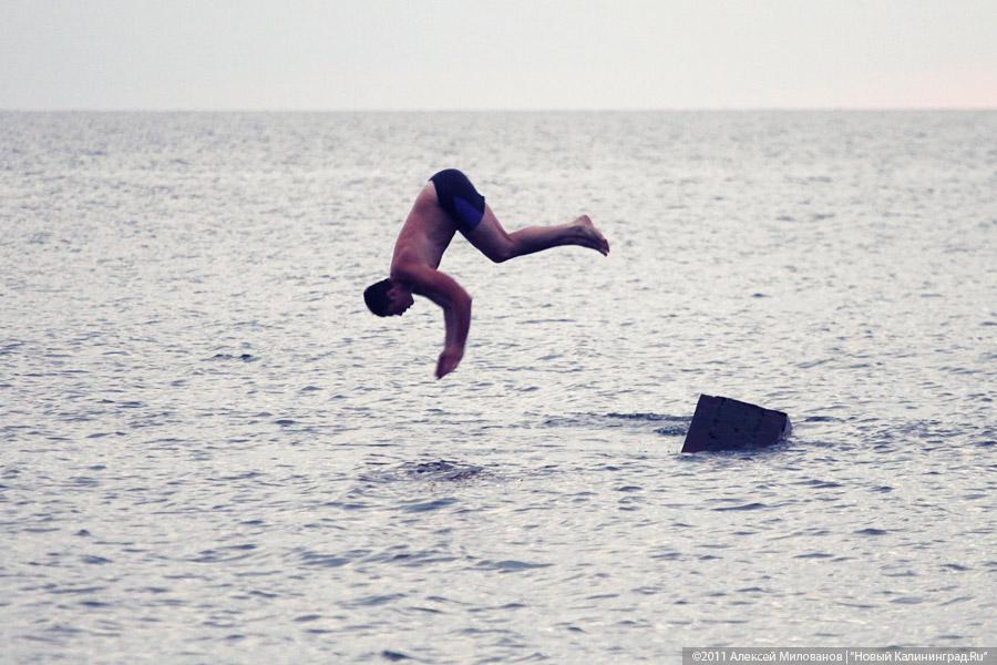 "Насекомая страна": фоторепортаж "Афиши Нового Калининграда.Ru"