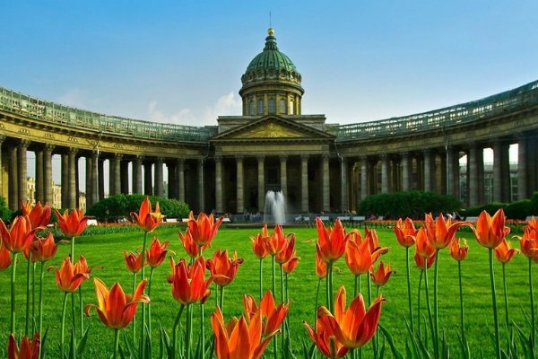 Окунитесь в красоты Санкт-Петербурга летом 2016