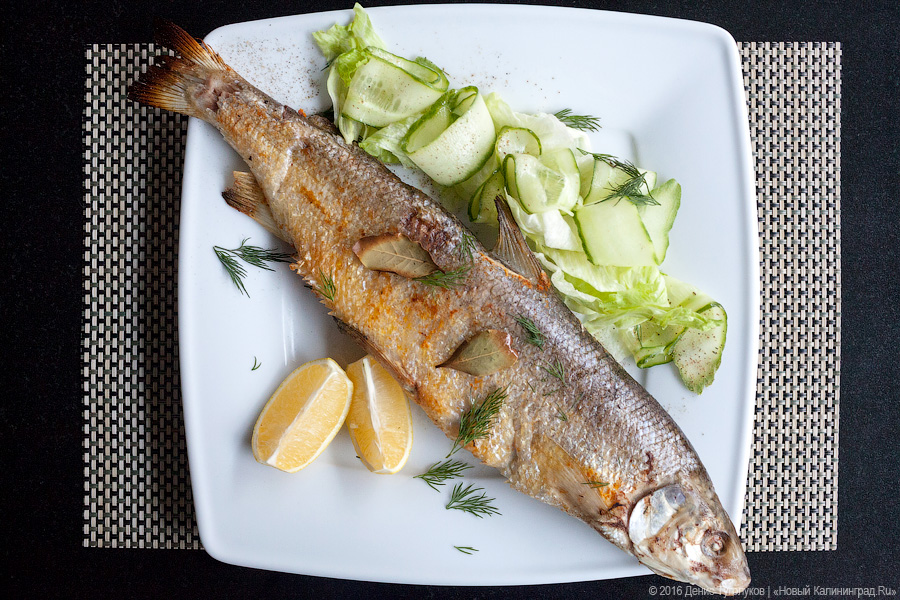 Какая рыба в Балтике плавает быстрее всех: что есть в ресторане «Курена»