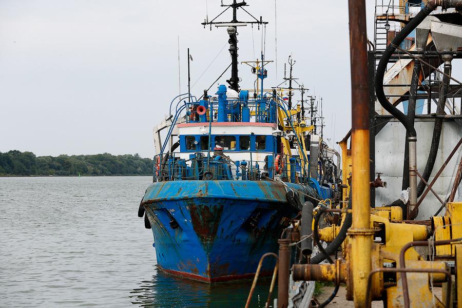 Без паники и спасибо Путину: что думают производители хлеба и консервов о продовольственном эмбарго