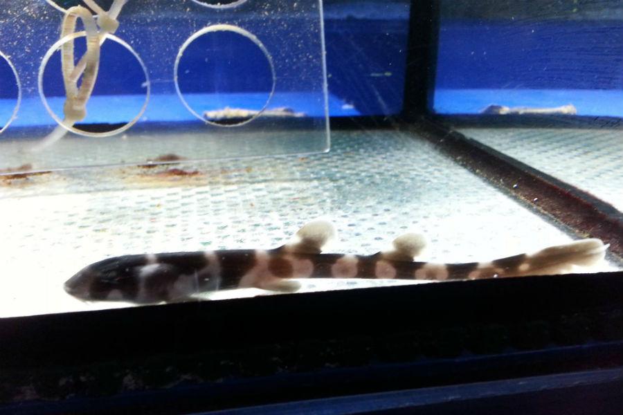 Фотография предоставлена сотрудниками ММО