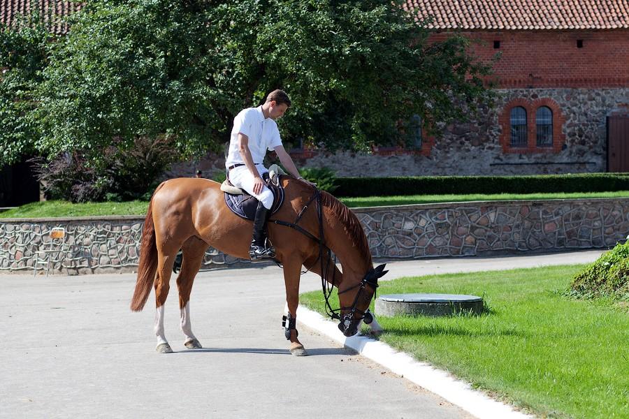 «Шляпки, лошади, конкур»: фоторепортаж «Нового Калининграда.Ru»