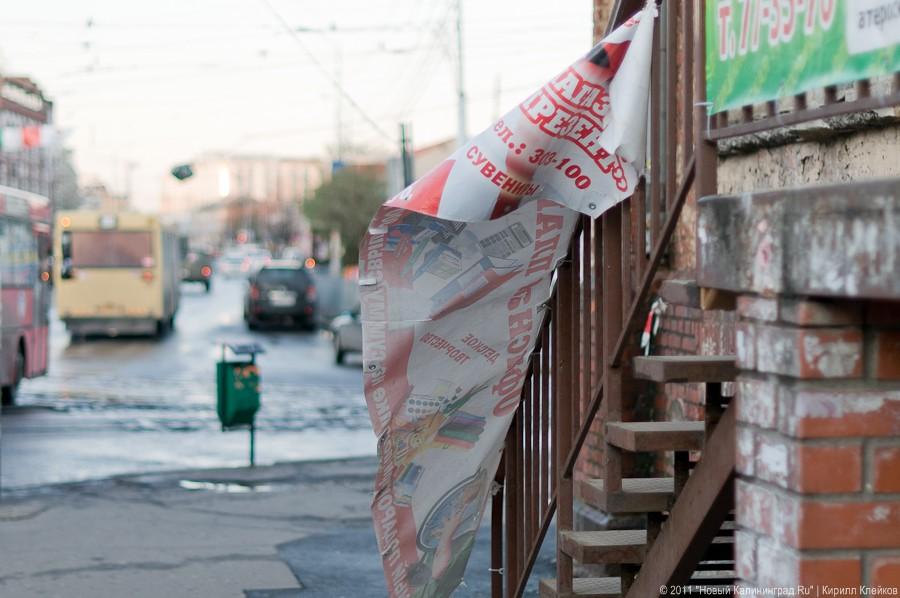 «А поутру они проснулись»: фоторепортаж «Нового Калининграда.Ru»