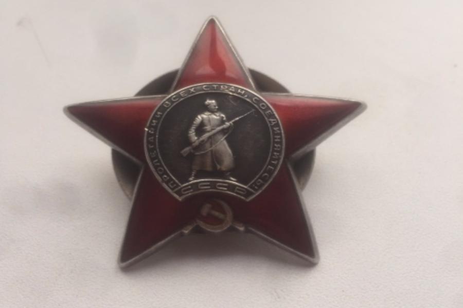 Калининградец нашел на ул. Юношеской награды времен ВОВ 