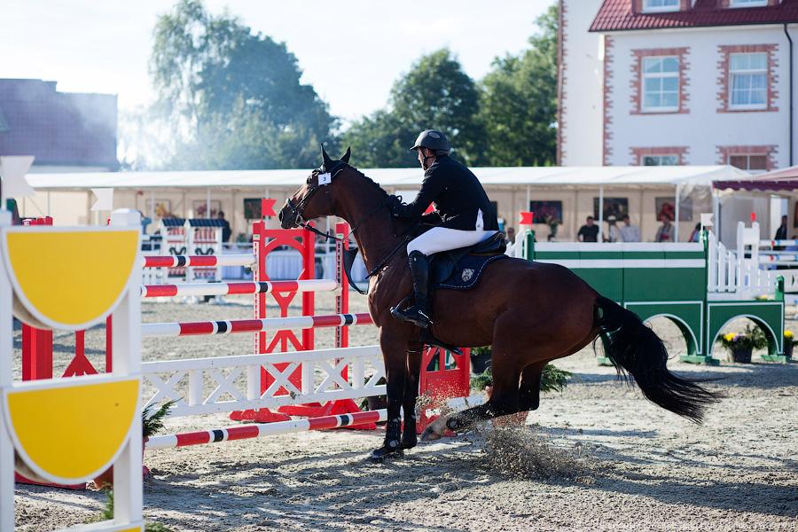 «Кубок президента РФ для немцев»: фоторепортаж с турнира по конкуру в Георгенбурге