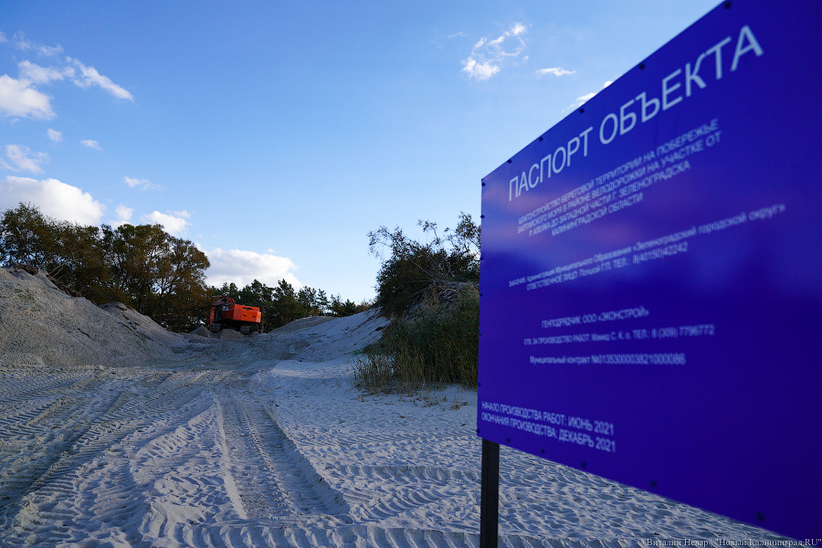 На озеленение дюн возле Зеленоградска выделяют 20,4 млн рублей