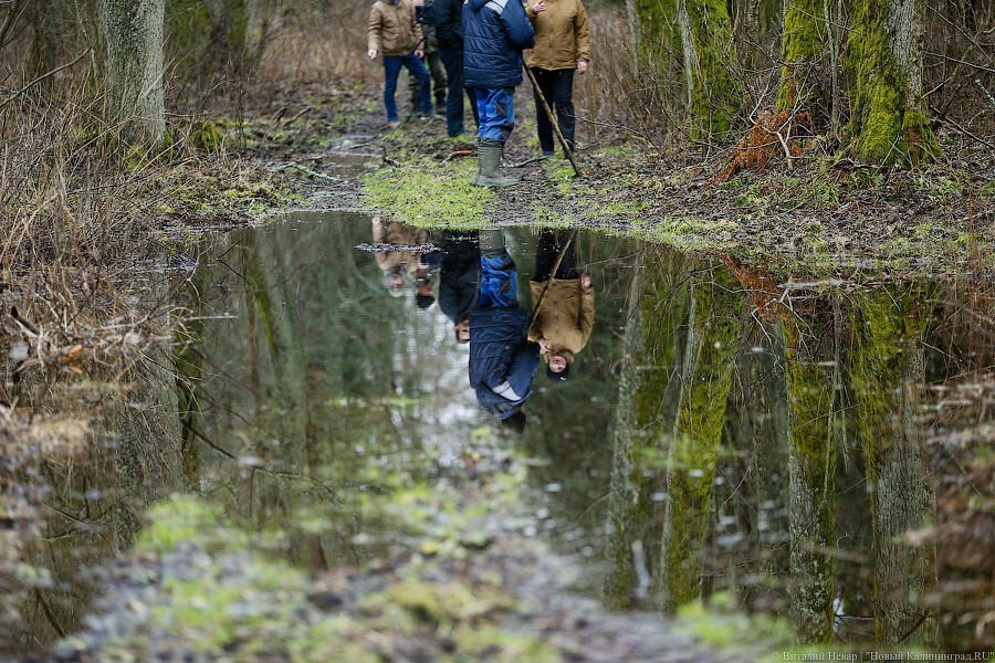 Посетителя «Куршской косы» оштрафовали за прогулку по неустановленному маршруту