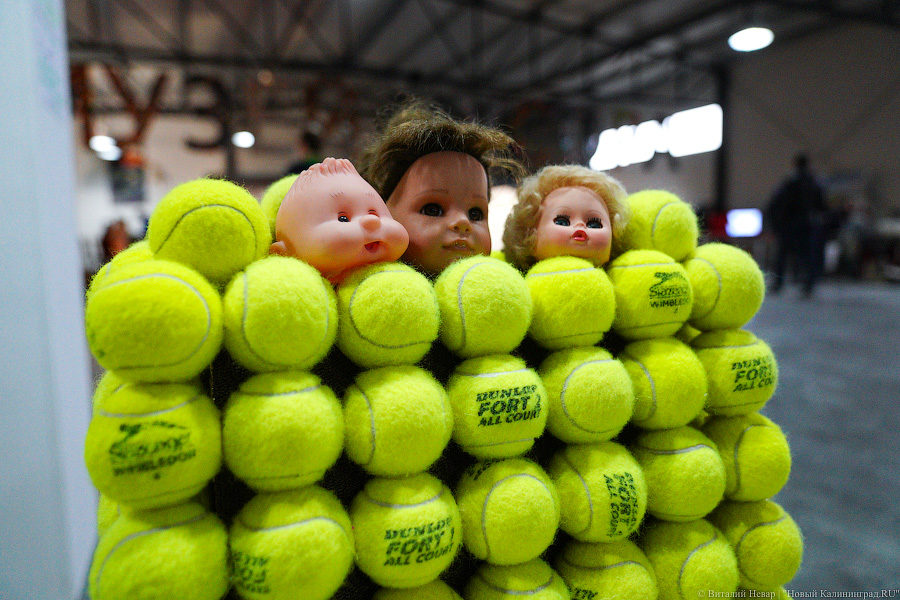 Ничего невозможного: под Калининградом открылся Музей мусора (фото)