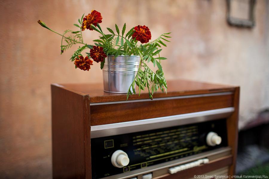 Суета вокруг шкафа: в Калининграде открылась интеллектуальная арт-площадка