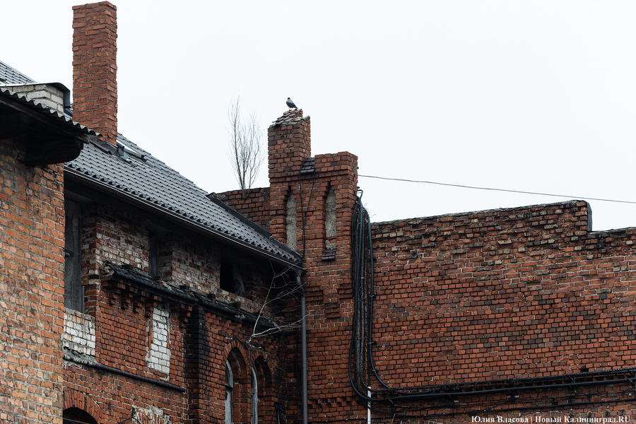 Постапокалиптический пейзаж: что происходит с территорией бывшего ЦБЗ-1 (фото)