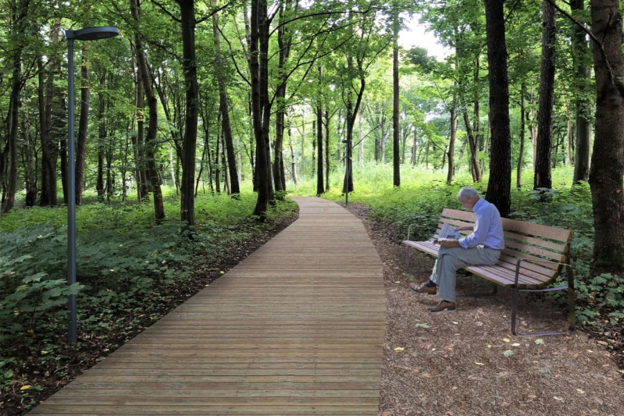 «Не затмить, не испортить, не утратить»: как хотят благоустроить парк Теодора Кроне