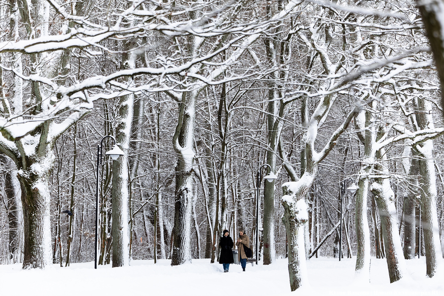 На старте новых морозов: погода в Калининградской области 8 февраля