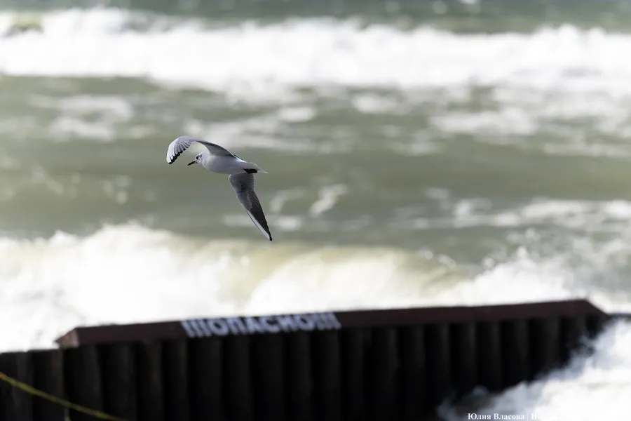 В МЧС предупредили об усилении ветра вечером 1 января
