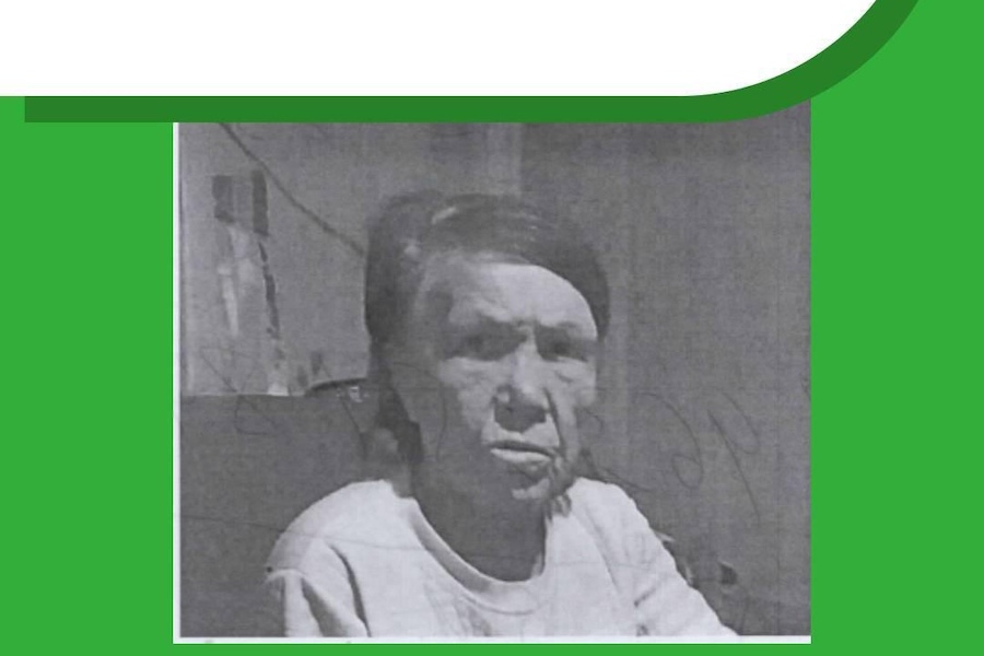 Под Багратионовском ищут пропавшую в новогоднюю ночь 67-летнюю женщину (фото)