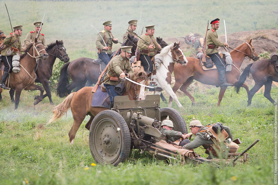 Фото: Алексей Милованов / Новый Калининград