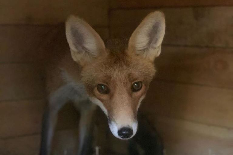 Фото — Анатолий Калина.