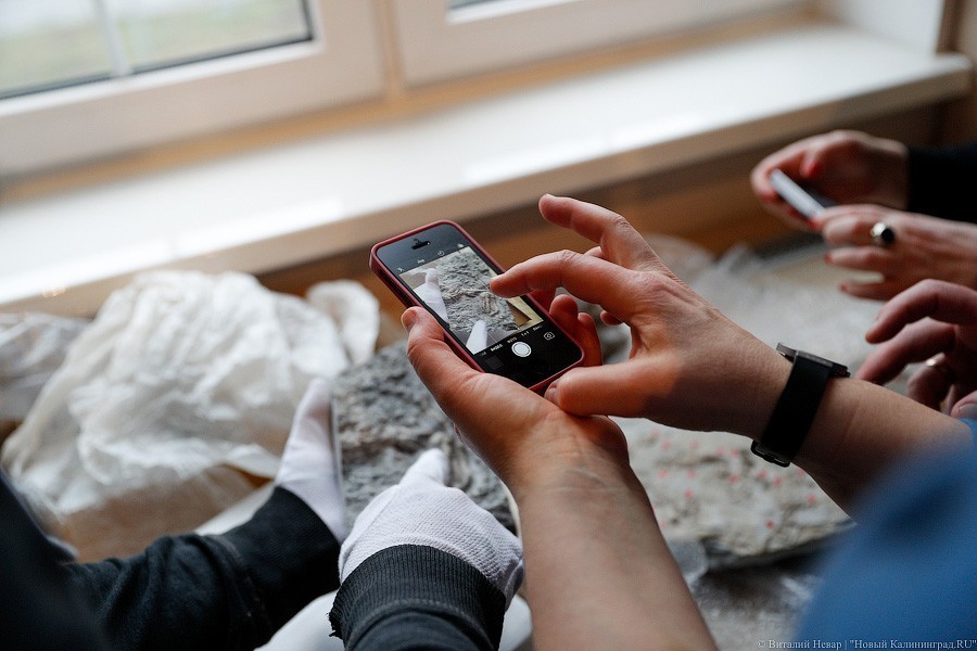 Облако планктона: в Музее Мирового океана готовят выставку актуального искусства