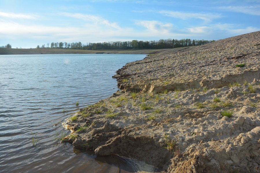 Озеро вместо леса: как выглядит после рекультивации карьер, где вырубили 60 га (фото)