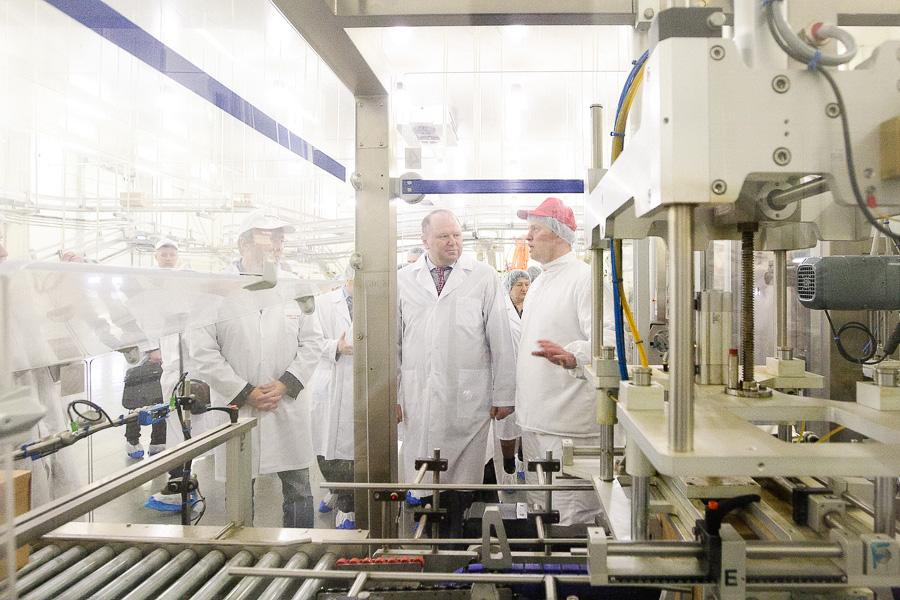 Как делают котлеты для «Макдоналдса»: вторая жизнь горевшей «Конкордии» 