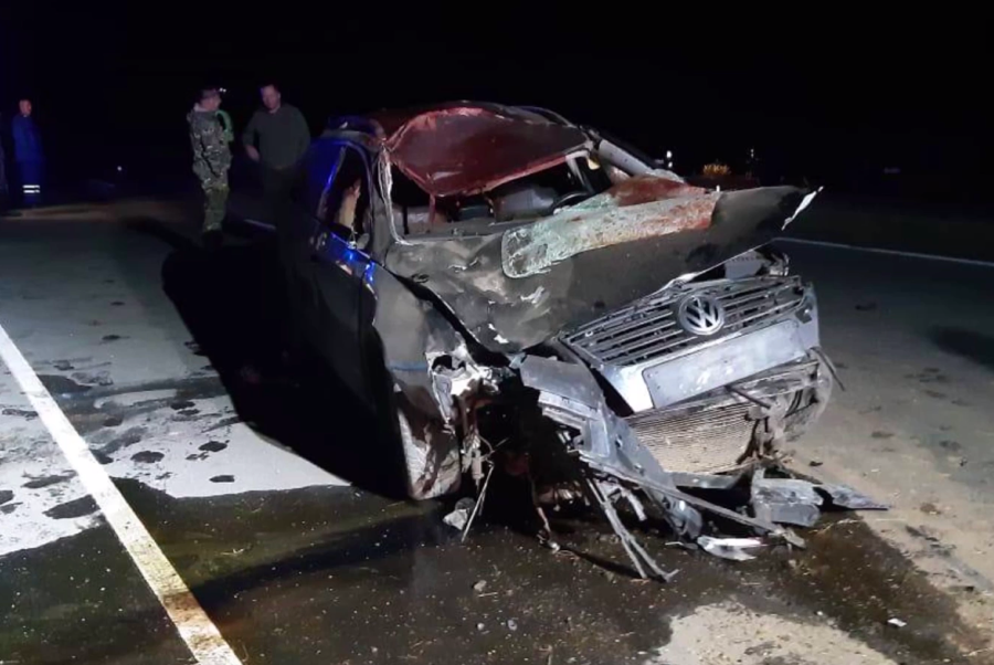 Под Калининградом в результате столкновения автомобиля с лосем погибла пенсионерка (видео)