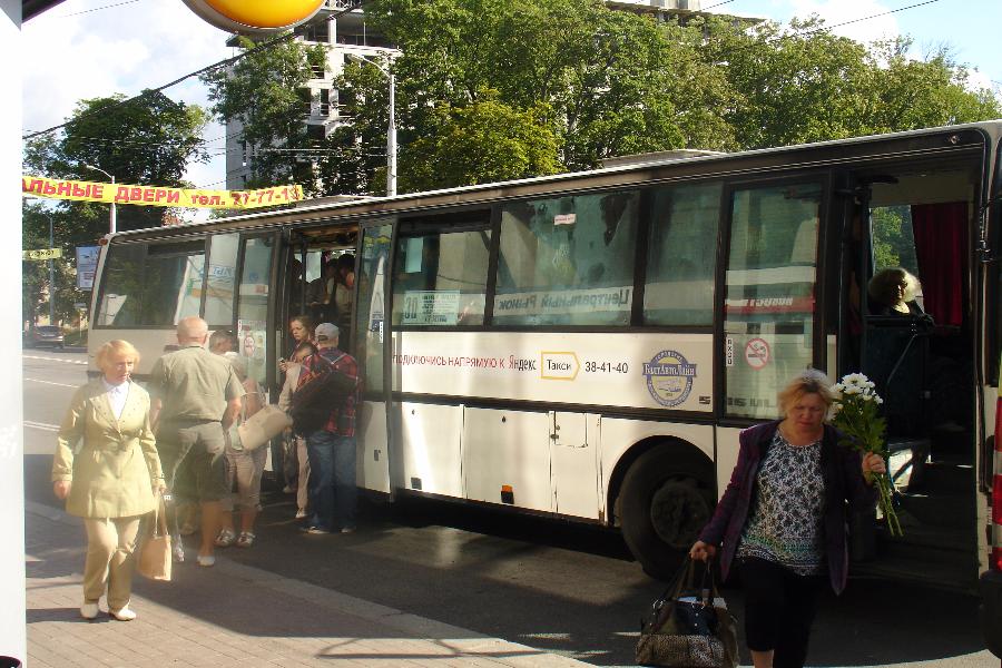 Два в одном: как в Калининграде автобусы маршруты делили