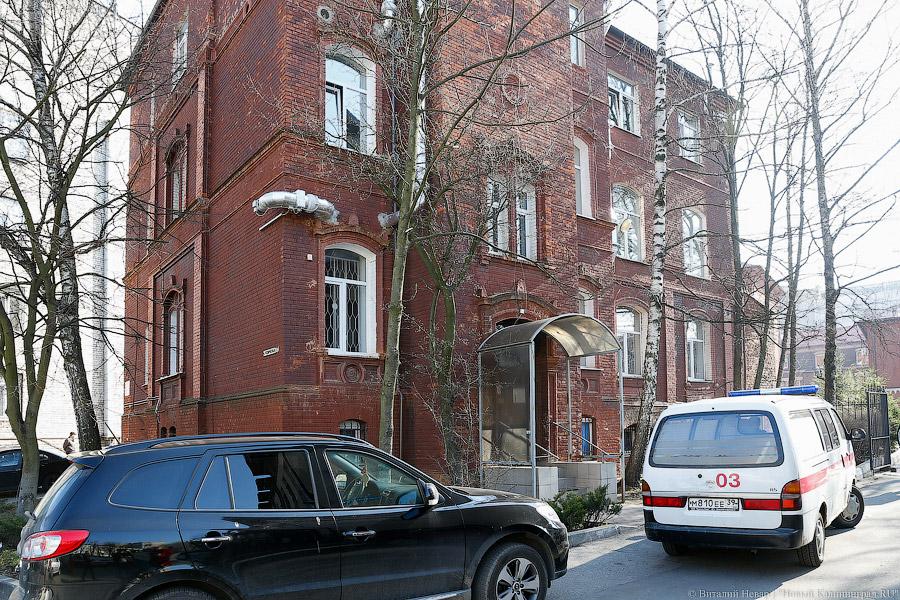 Он зловещ: клещи начали активно нападать на жителей Калининграда и области