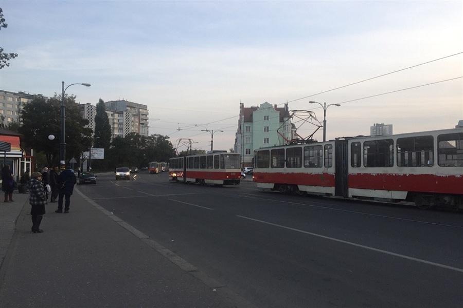 В Калининграде из-за ДТП блокировано движение трамваев (фото) 