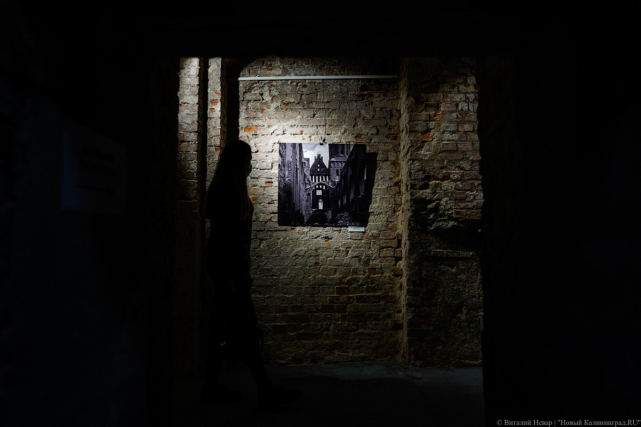 Избирательный COVID: как Музейная ночь стала праздником для одних и проблемой для других