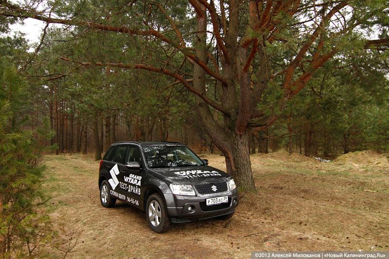 «Самый большой Suzuki»: тест-драйв Suzuki Grand Vitara